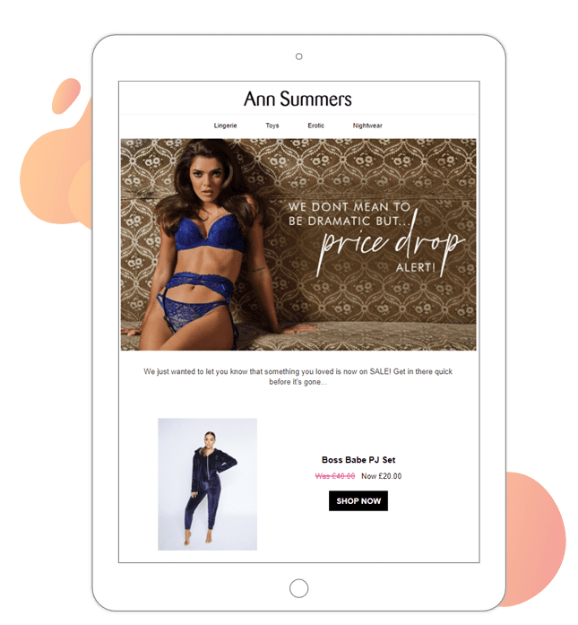 Ann Summers price drop email example