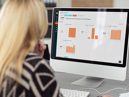 The new Audience Analytics dashboard analyses ecommerce customer segments
