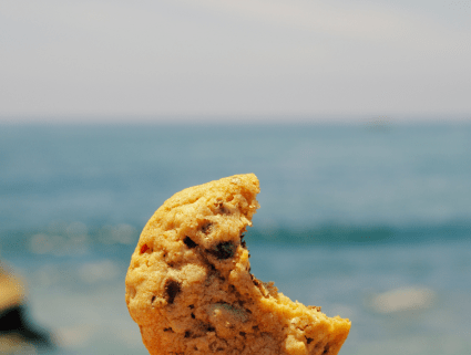 How to adapt your travel marketing strategy for a cookieless world - featured image